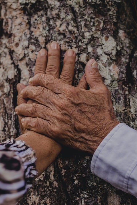 hand