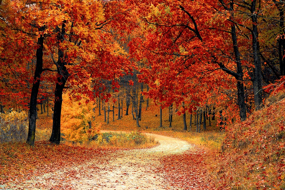 road